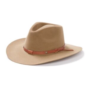 Oak Ridge Black by Stetson