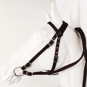Nylon Farm Bridle
