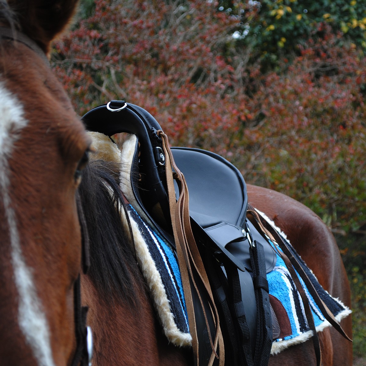 Trail Saddle - Trail Ranger Black