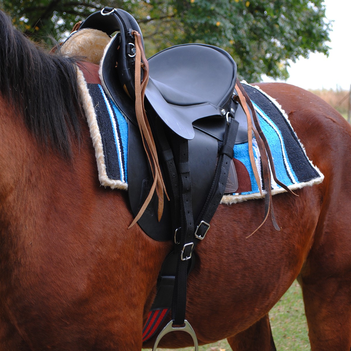 Trail Saddle - Trail Ranger Black