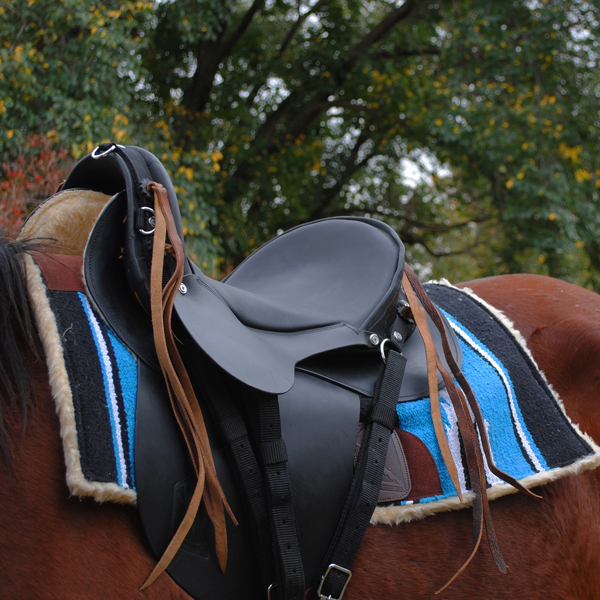 Trail Saddle - Trail Ranger Black