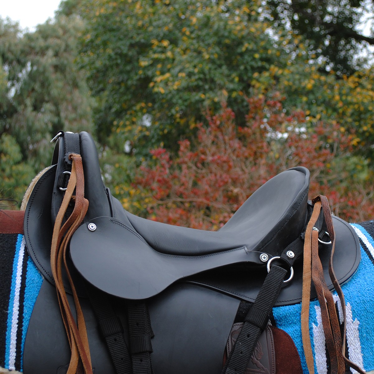 Trail Saddle - Trail Ranger Black