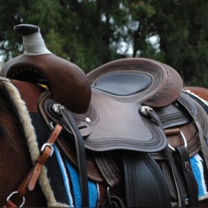 Western Saddle - The Ford Worth