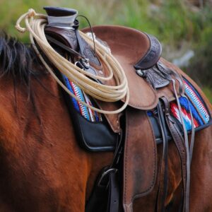 Western Saddle - The Austin Roper