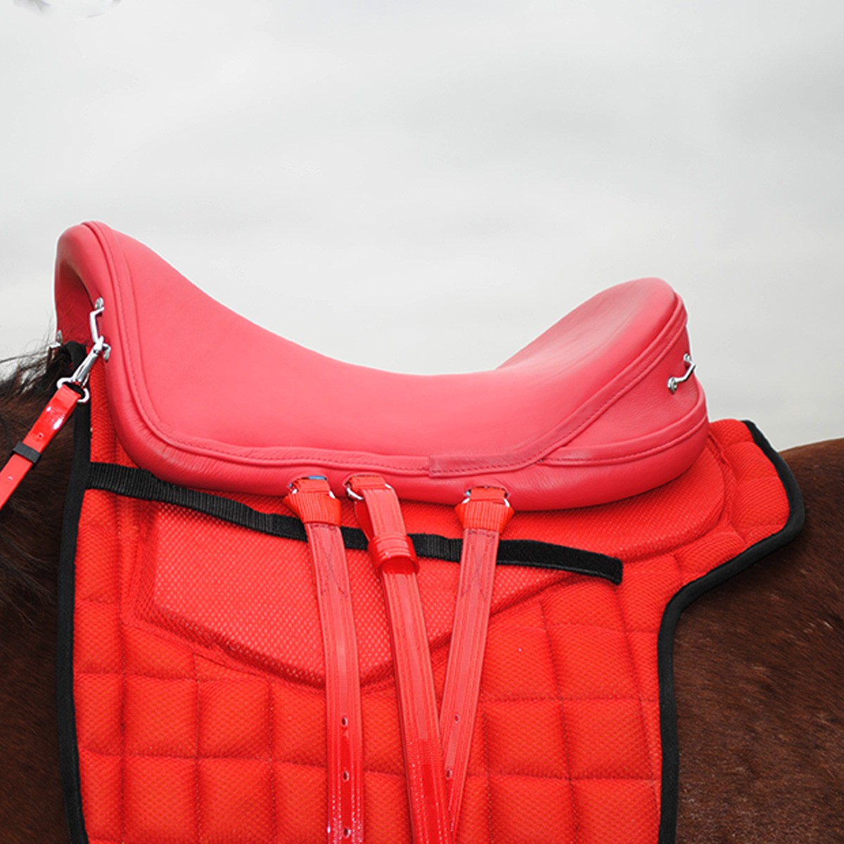 Carrera Carbon Fibre Saddle
