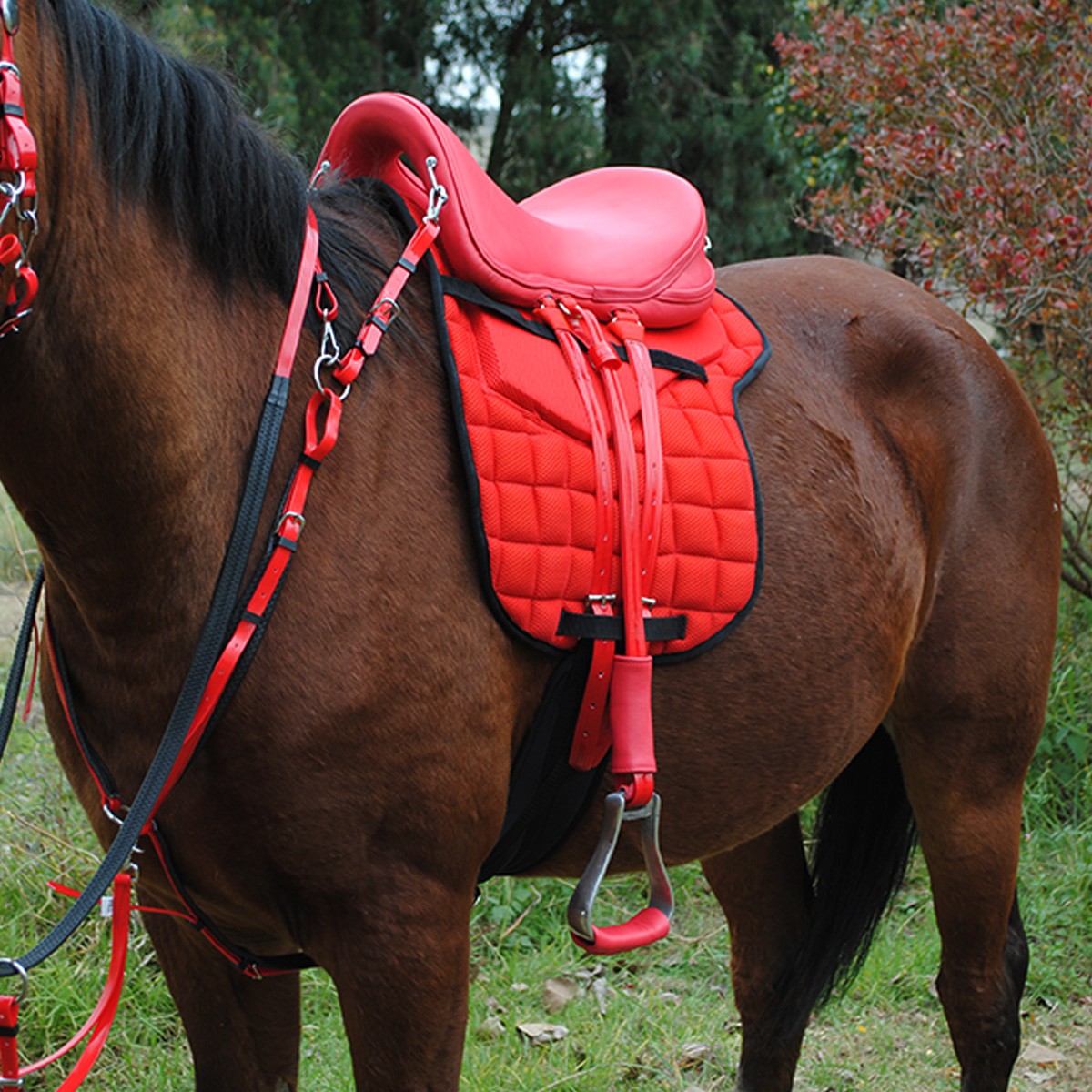 Carrera Carbon Fibre Saddle