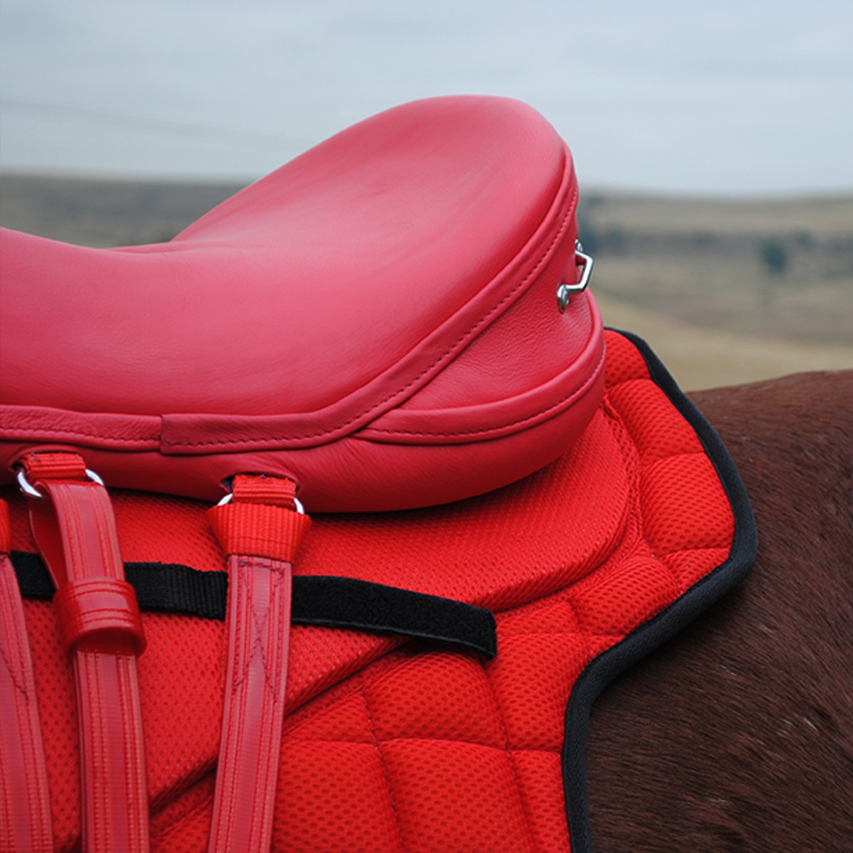 Carrera Carbon Fibre Saddle