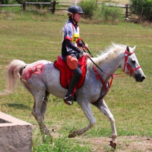 "Try before you Buy" Carrera Endurance Saddle