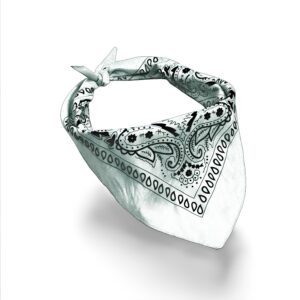 Bandana - White