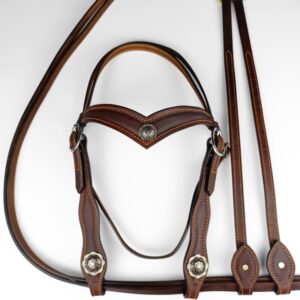 Silver Creek Bridle & Reins Set