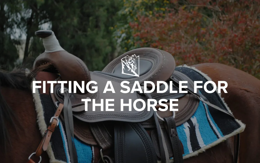 Fitting a saddle for the horse