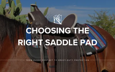 Choosing the Right Western Saddle Pad